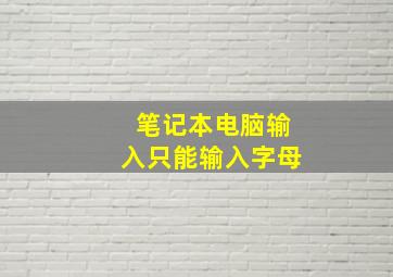 笔记本电脑输入只能输入字母