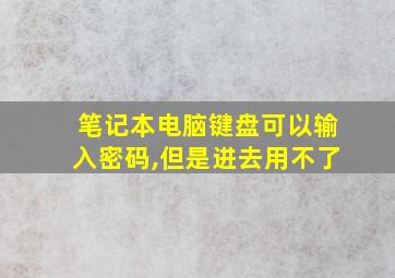 笔记本电脑键盘可以输入密码,但是进去用不了