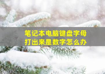 笔记本电脑键盘字母打出来是数字怎么办