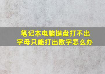 笔记本电脑键盘打不出字母只能打出数字怎么办