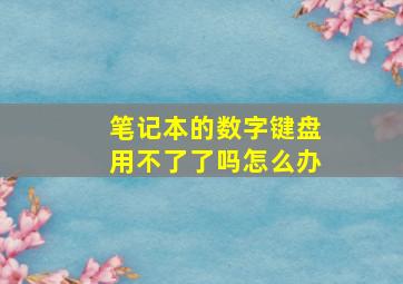 笔记本的数字键盘用不了了吗怎么办