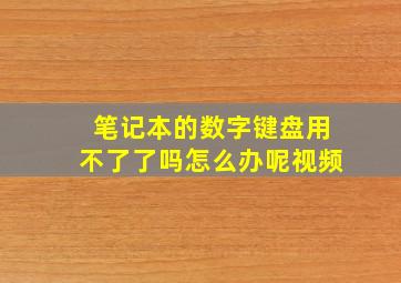 笔记本的数字键盘用不了了吗怎么办呢视频