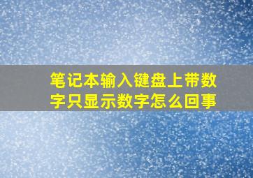 笔记本输入键盘上带数字只显示数字怎么回事