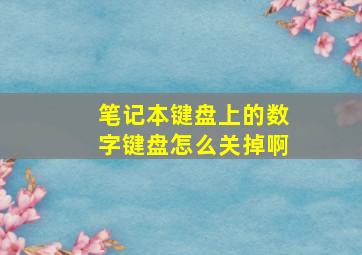 笔记本键盘上的数字键盘怎么关掉啊