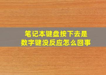 笔记本键盘按下去是数字键没反应怎么回事