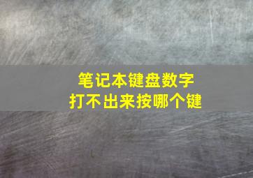 笔记本键盘数字打不出来按哪个键