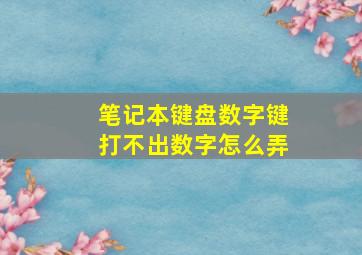 笔记本键盘数字键打不出数字怎么弄