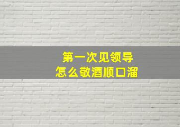 第一次见领导怎么敬酒顺口溜