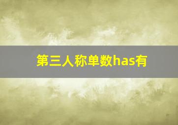 第三人称单数has有