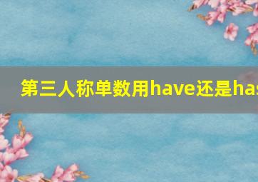 第三人称单数用have还是has