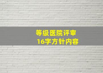 等级医院评审16字方针内容