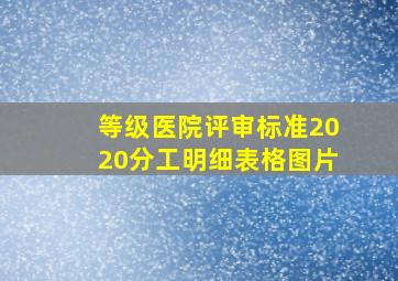 等级医院评审标准2020分工明细表格图片