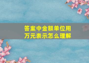 答案中金额单位用万元表示怎么理解