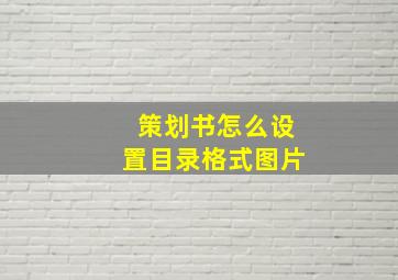 策划书怎么设置目录格式图片