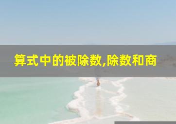 算式中的被除数,除数和商