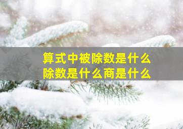 算式中被除数是什么除数是什么商是什么