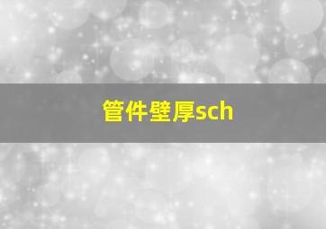 管件壁厚sch