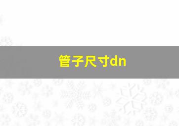 管子尺寸dn