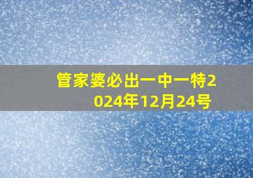 管家婆必出一中一特2024年12月24号