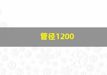 管径1200