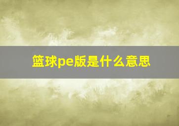 篮球pe版是什么意思