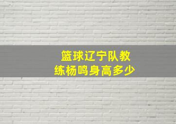 篮球辽宁队教练杨鸣身高多少