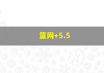 篮网+5.5