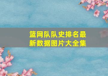 篮网队队史排名最新数据图片大全集