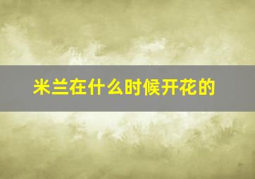 米兰在什么时候开花的