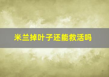 米兰掉叶子还能救活吗