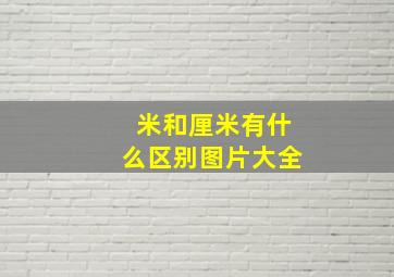 米和厘米有什么区别图片大全