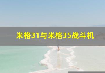 米格31与米格35战斗机