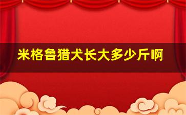 米格鲁猎犬长大多少斤啊