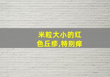 米粒大小的红色丘疹,特别痒