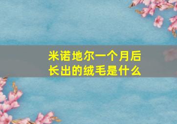 米诺地尔一个月后长出的绒毛是什么