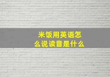 米饭用英语怎么说读音是什么