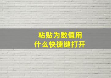 粘贴为数值用什么快捷键打开