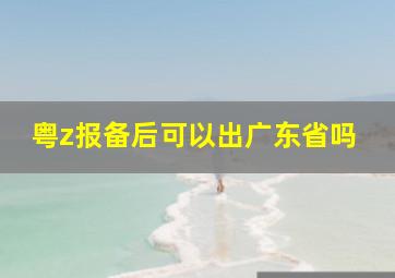 粤z报备后可以出广东省吗