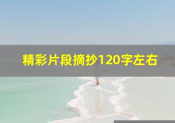 精彩片段摘抄120字左右