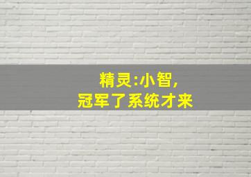 精灵:小智,冠军了系统才来