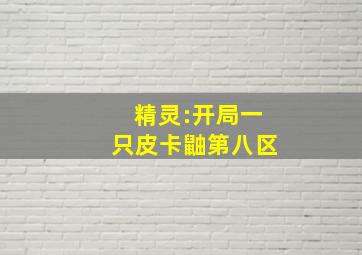 精灵:开局一只皮卡鼬第八区