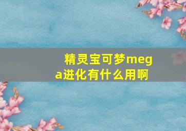 精灵宝可梦mega进化有什么用啊