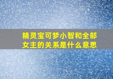 精灵宝可梦小智和全部女主的关系是什么意思