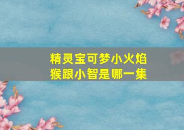 精灵宝可梦小火焰猴跟小智是哪一集