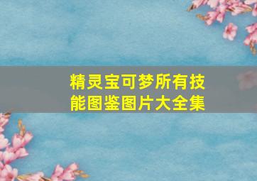 精灵宝可梦所有技能图鉴图片大全集