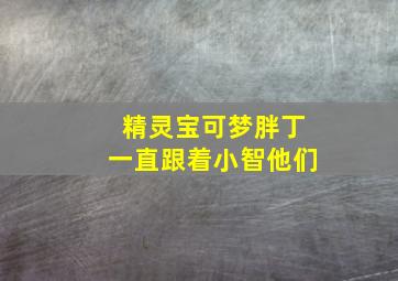 精灵宝可梦胖丁一直跟着小智他们