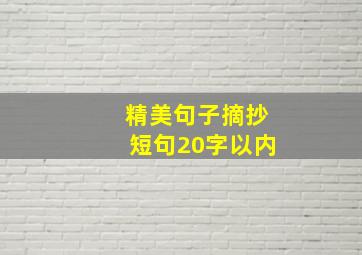 精美句子摘抄短句20字以内