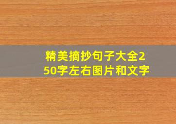 精美摘抄句子大全250字左右图片和文字