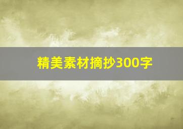 精美素材摘抄300字