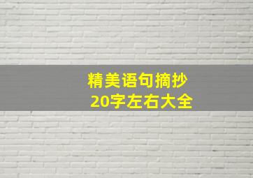 精美语句摘抄20字左右大全